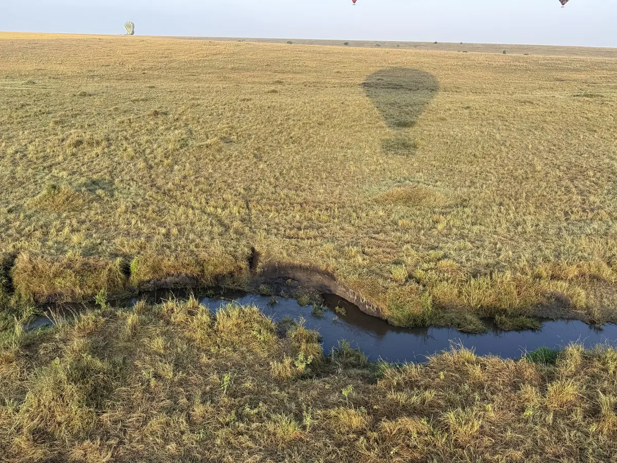 A hot air balloon over the Mara wetlands