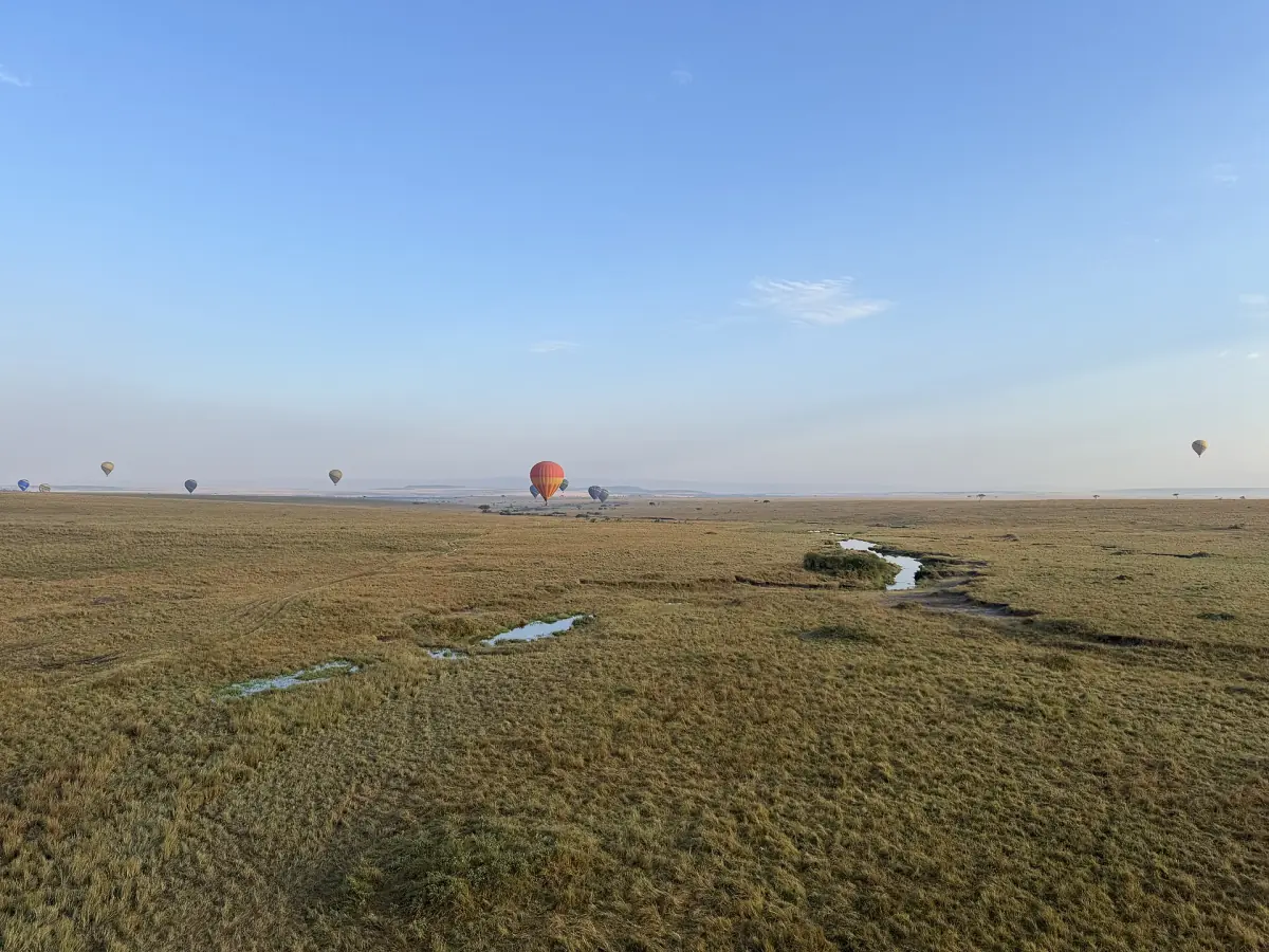 Balloons rising over the Mara at dawn