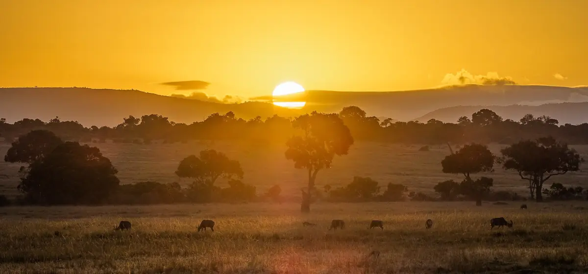 Sunset over the Maasai Mara